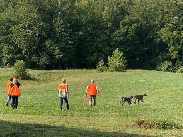 Pointing Mock Junior Hunt Test
