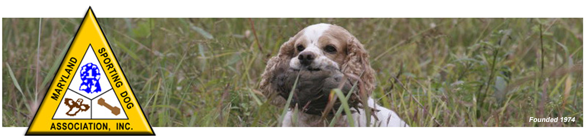 Maryland Sporting Dog Association