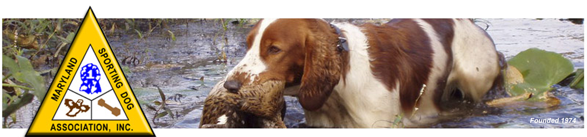 Maryland Sporting Dog Association