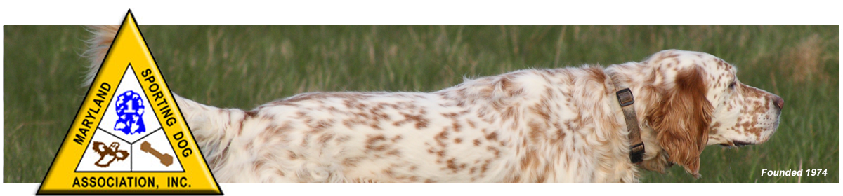 Maryland Sporting Dog Association