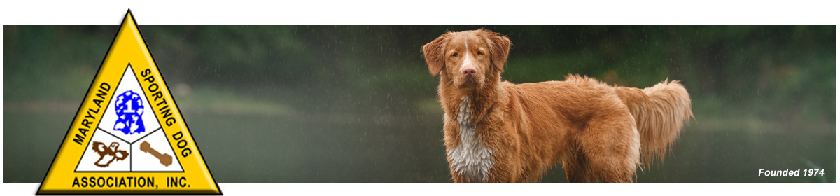 Maryland Sporting Dog Association