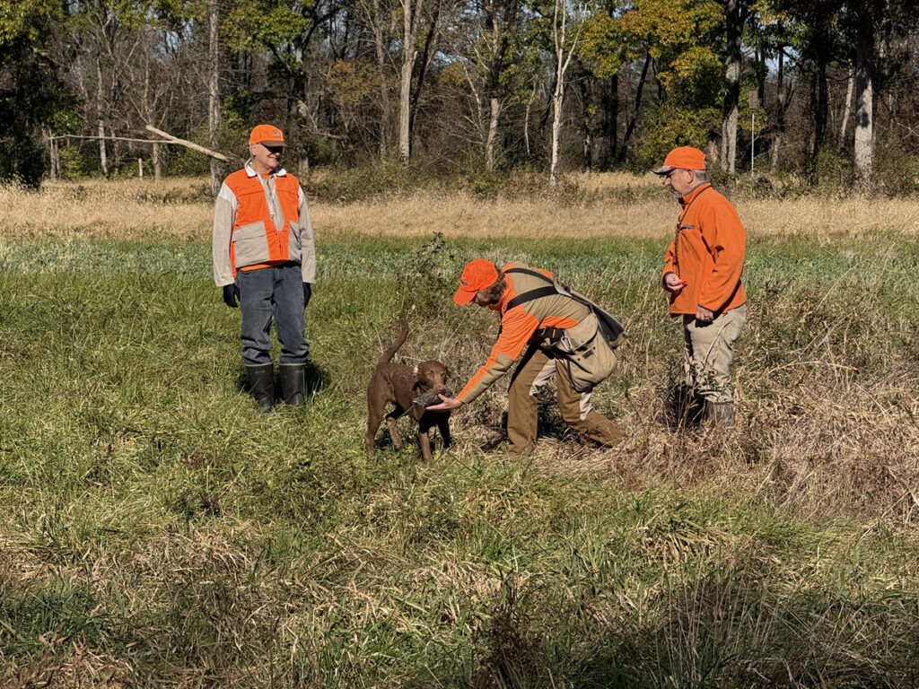 2024-11-16 FDTD Skill Building