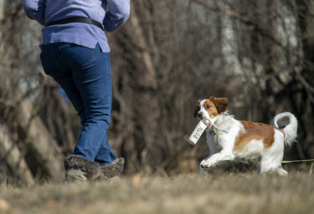 2026 Instinct Clinic photo by Bryan Sirotkin