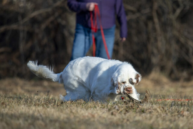 2026 Instinct Clinic photo by Bryan Sirotkin