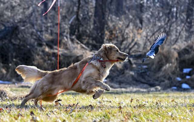 2026 Instinct Clinic photo by Bryan Sirotkin