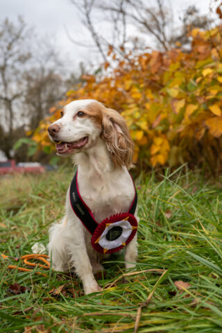 Hawkeye (Fall 2025) - photo by Matt Toth