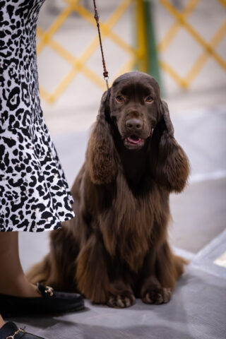 Spring Event 2026 photo by Haley Dagen