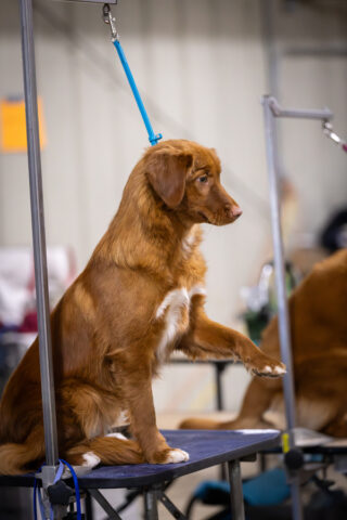 Spring Event 2026 photo by Haley Dagen