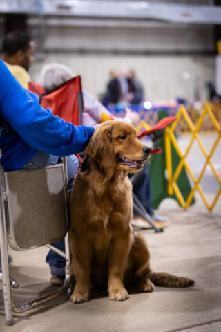 Spring Event 2026 photo by Haley Dagen