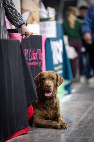 Spring Event 2026 photo by Haley Dagen