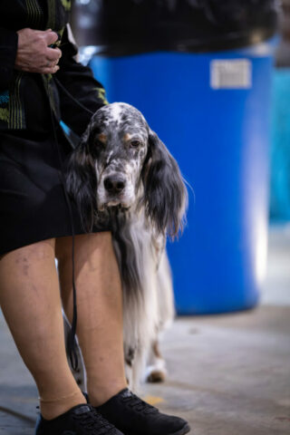 Spring Event 2026 photo by Haley Dagen